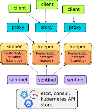 Stolon architecture