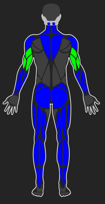 Male Back View