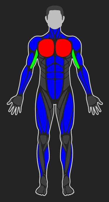 Male Front View