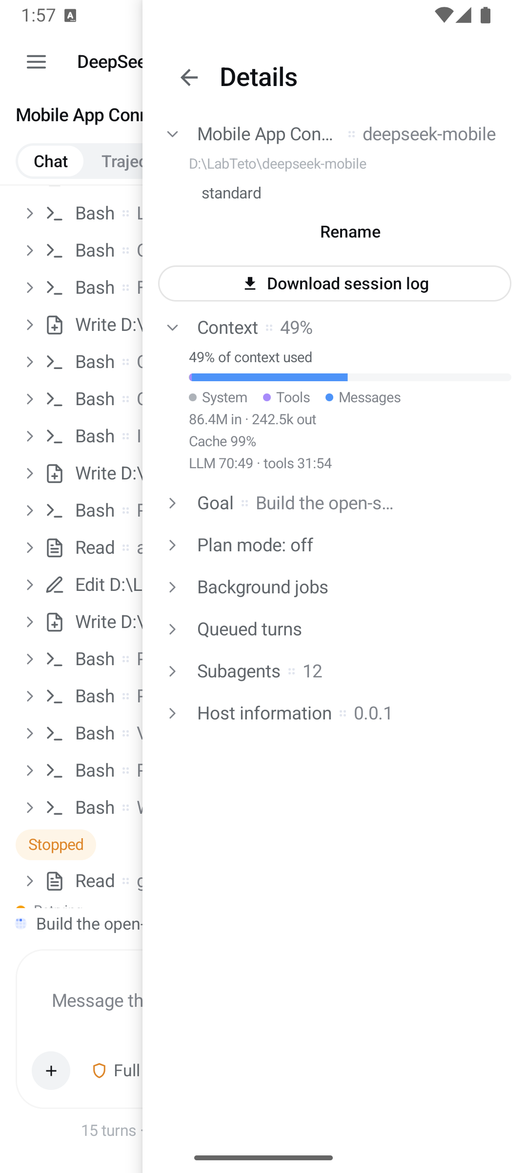 Details panel: context breakdown, goal, plan mode, jobs, queue, subagents, host information