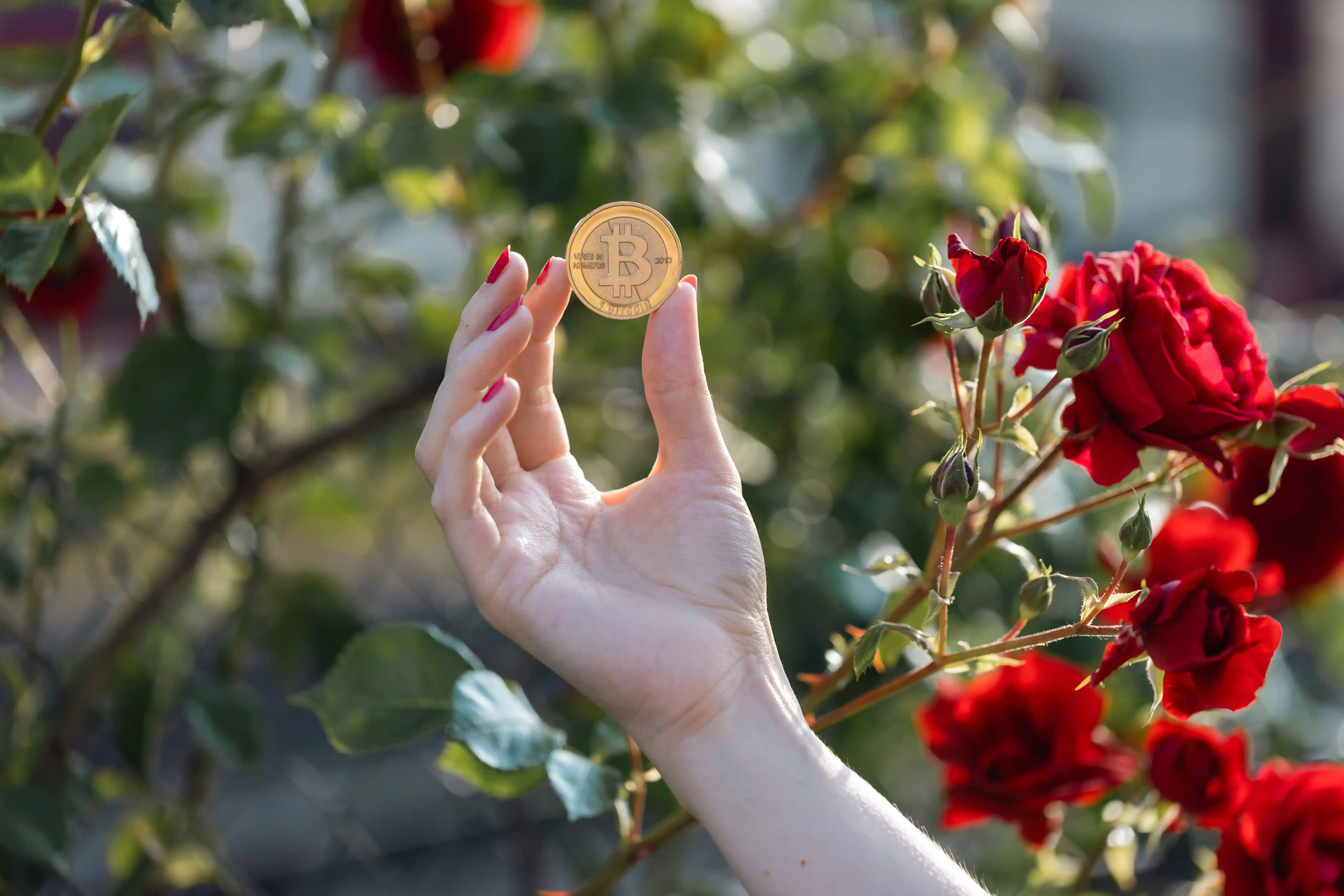 Pendle Finance 2026: Yield Tokenization Protocol