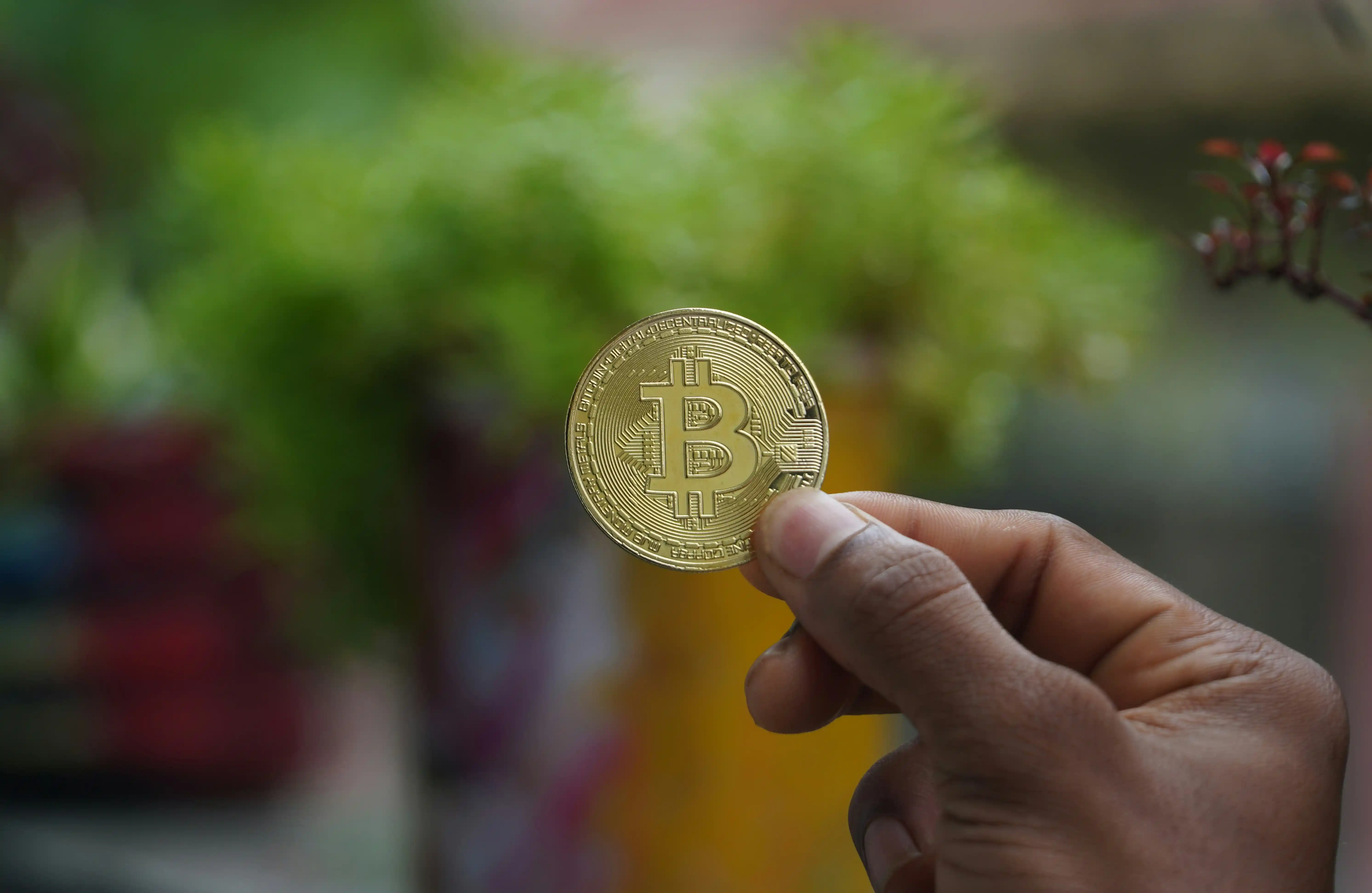 Central Bank Digital Currencies Impact on Crypto 2026