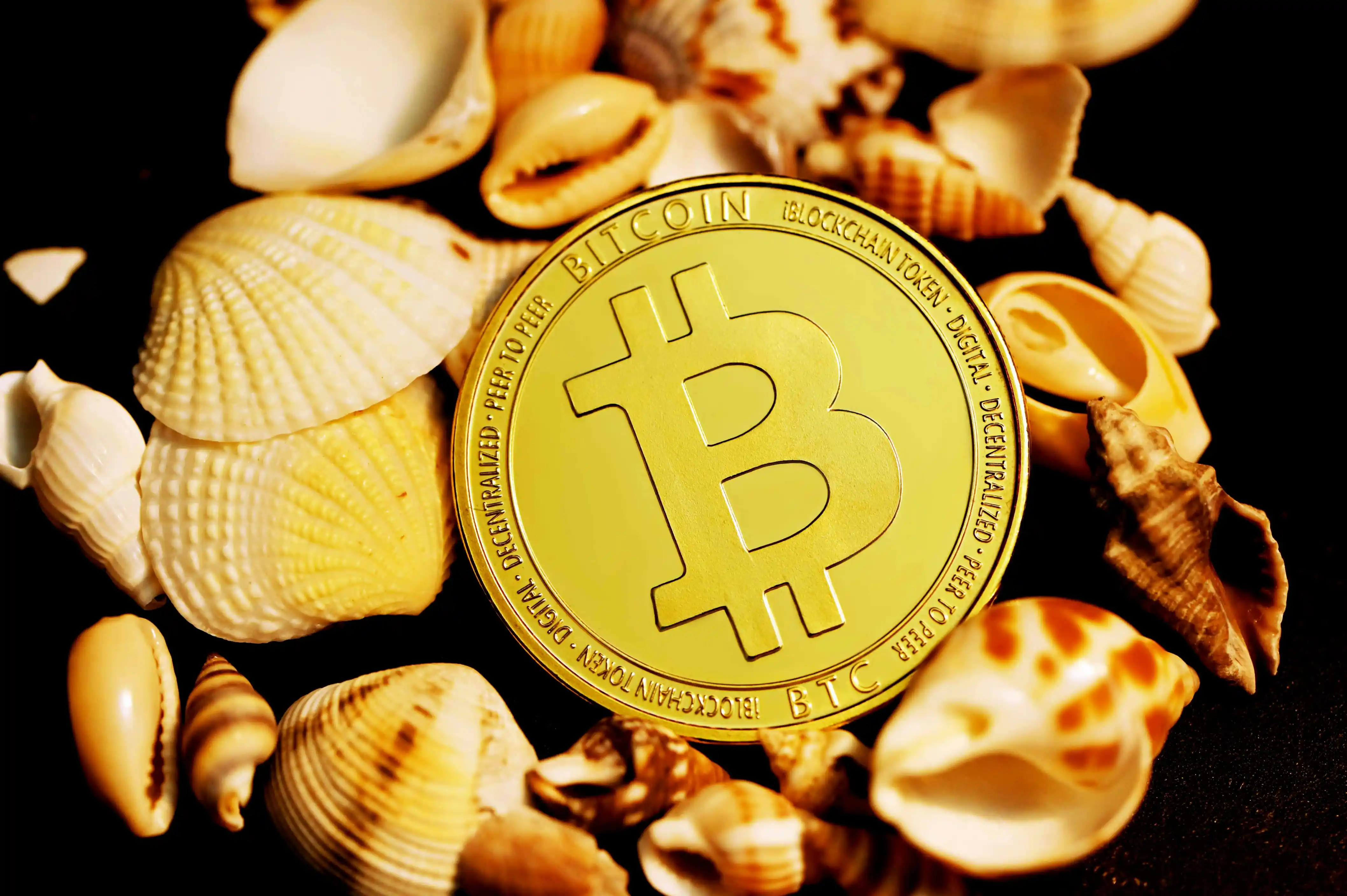 ApeCoin (APE) 2026: Bored Ape Ecosystem and Otherside