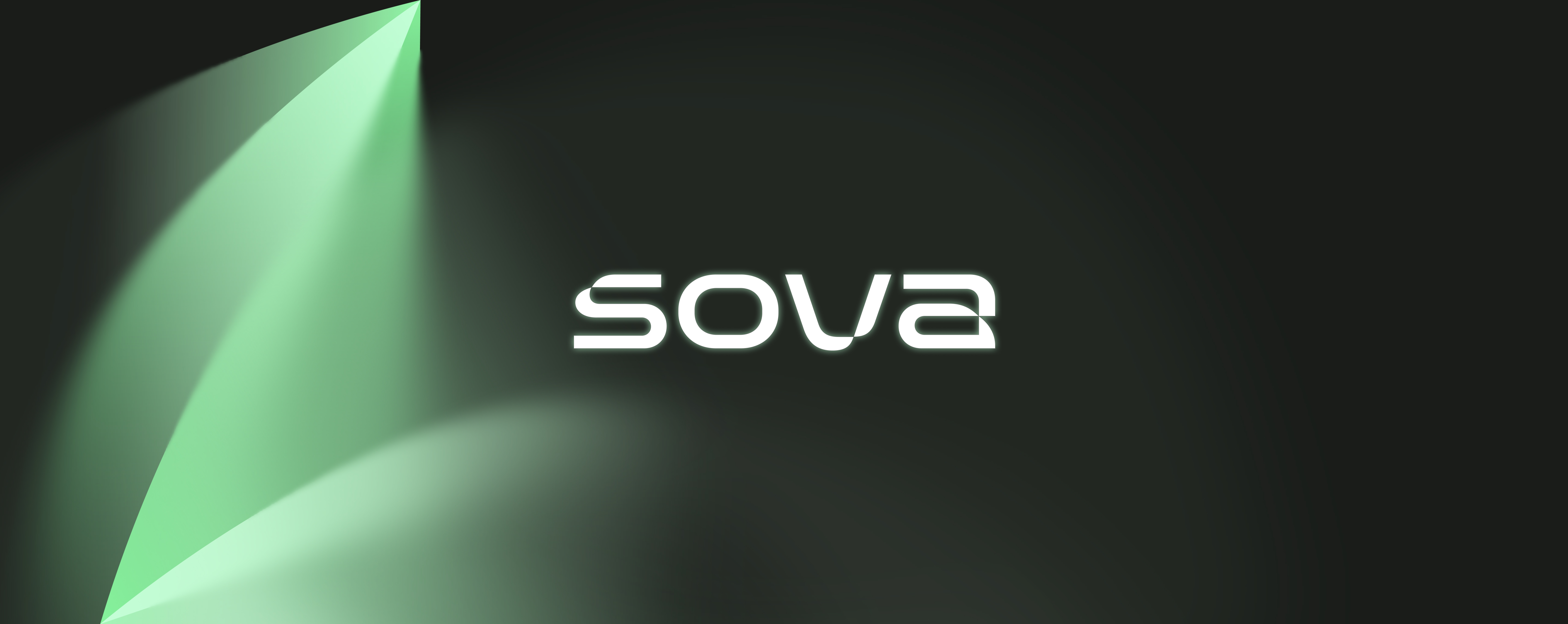 Sova Foundation · GitHub