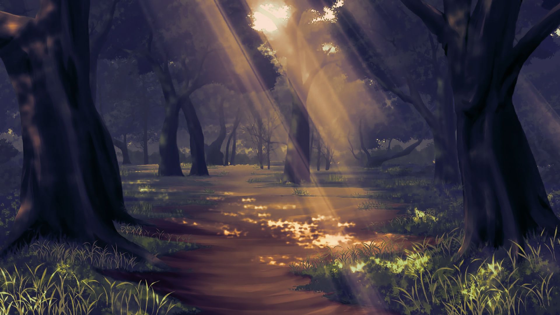 ext_forest5_sunset