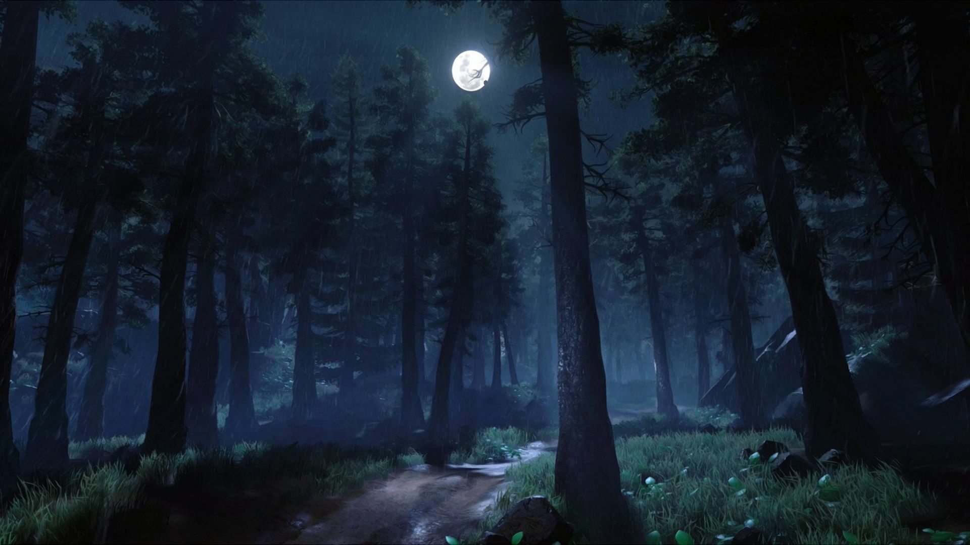 ext_forest_night