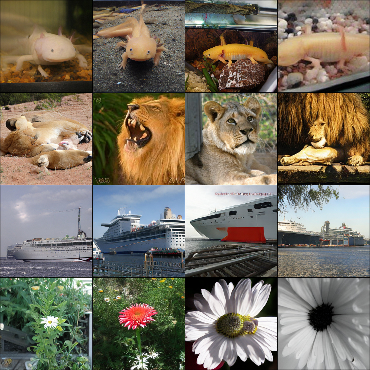 Single-pass ImageNet-512 samples after TBSM training.
