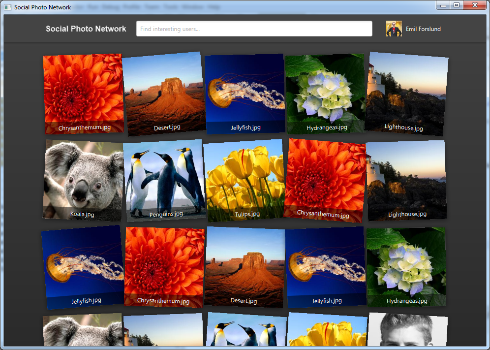 A screenshot of the Social Photo Network client.