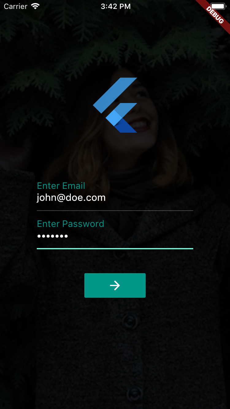 Login App Snapshot