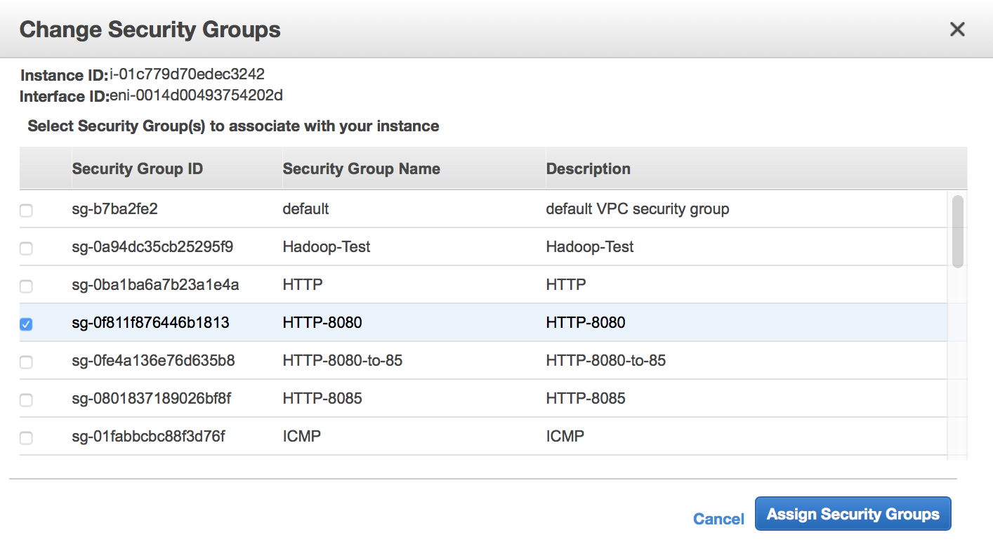 Assign Security Group