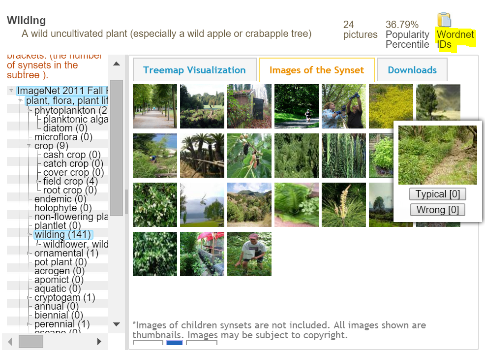 imagenet