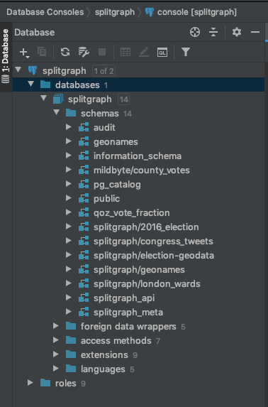 The checked-out datasets in the schema selector