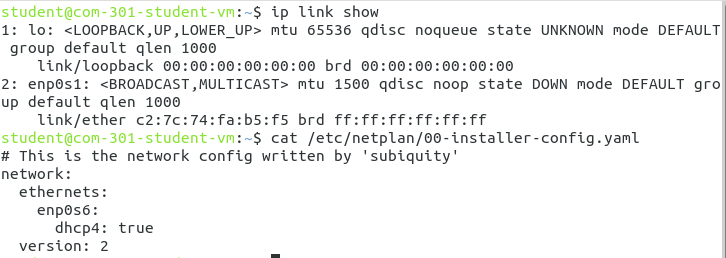 Network interface names mismatch