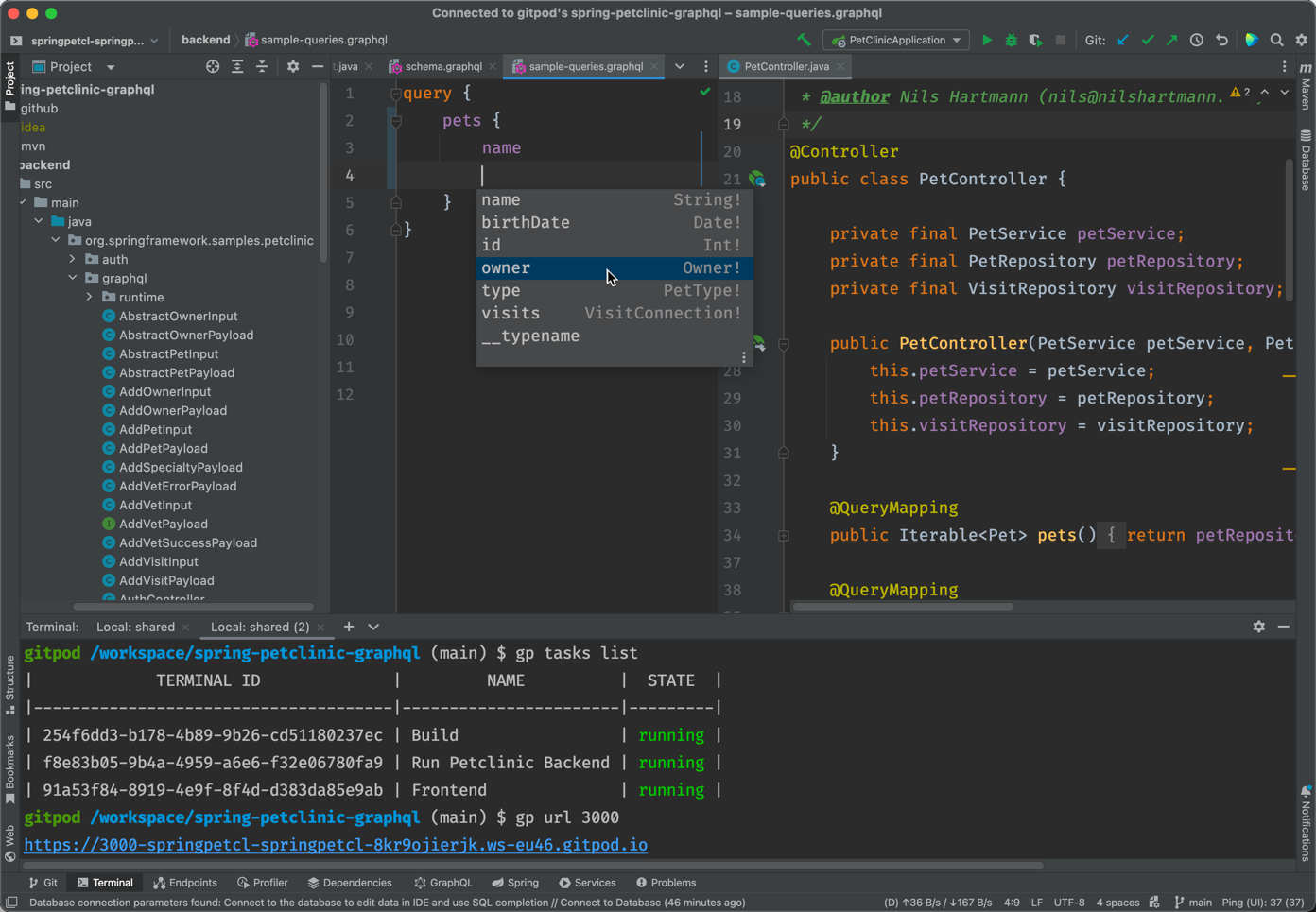 SpringBoot PetClinic in GitPod IntelliJ Workspace