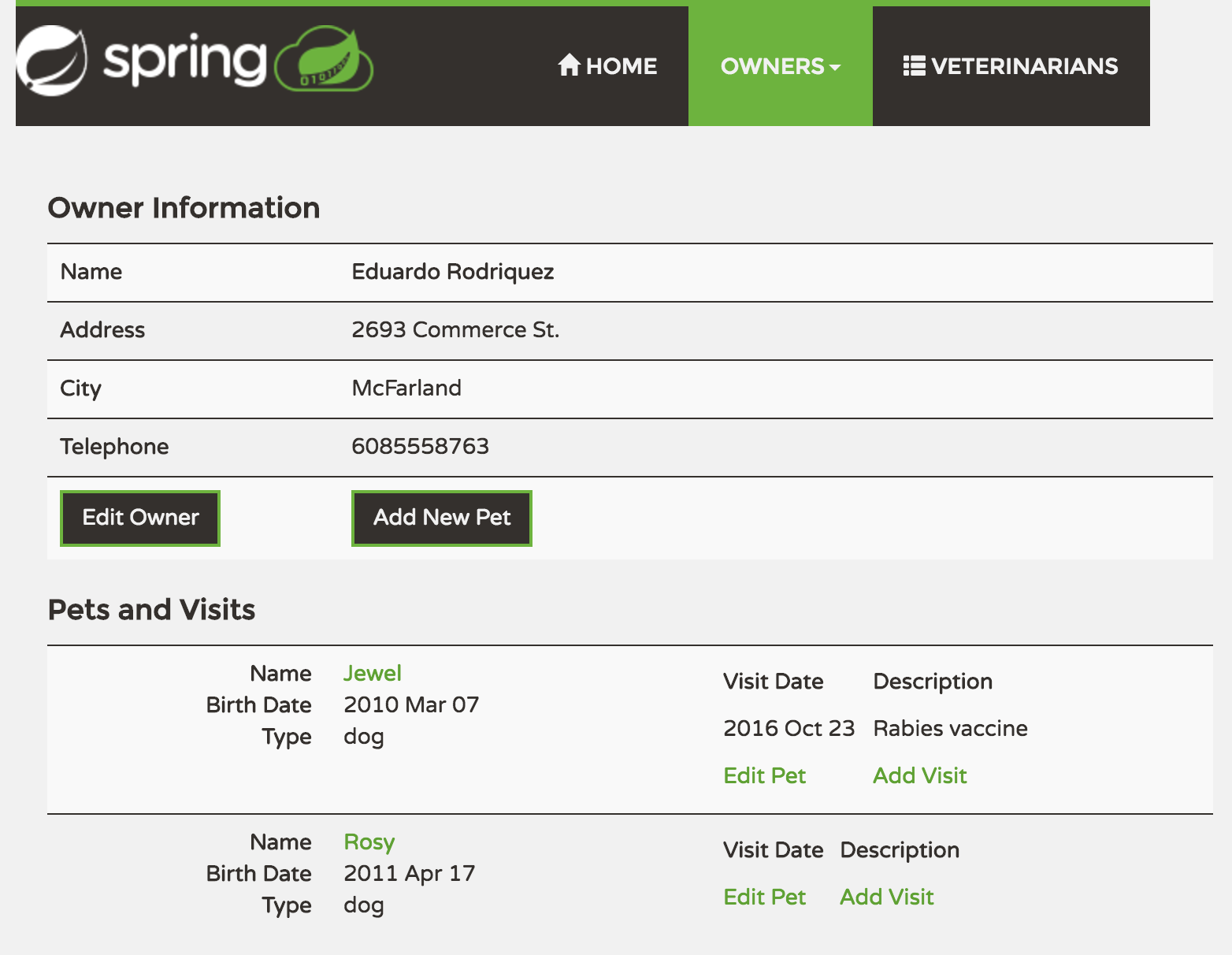 Spring Petclinic Microservices screenshot