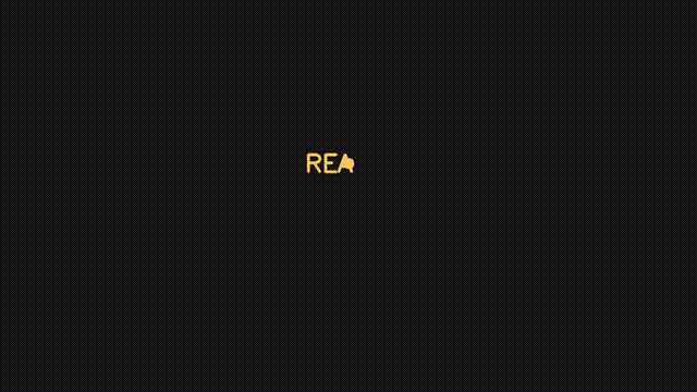 dsh-rea 截图 2