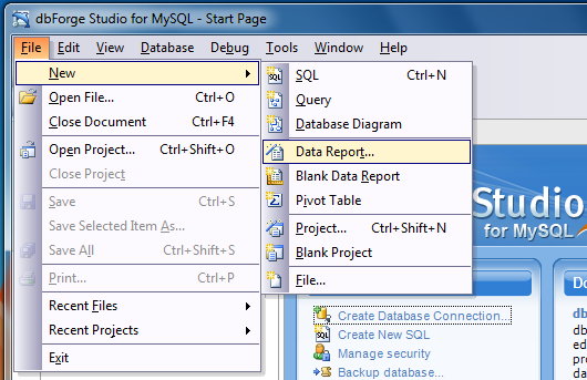 New Data Report menu