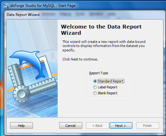 Data Report Wizard