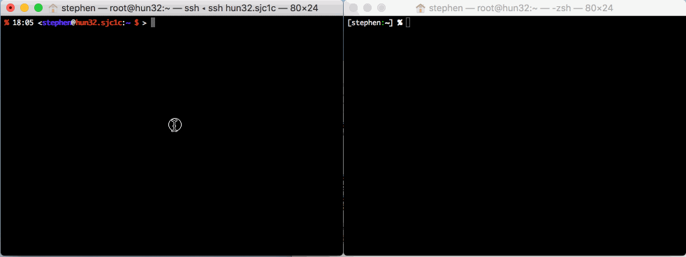 a demonstrated sudo_pair session