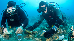 Diver attaching Mooring