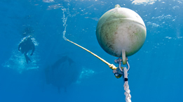 Diver attaching Mooring