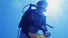 Diver attaching Mooring