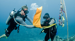 Diver attaching Mooring