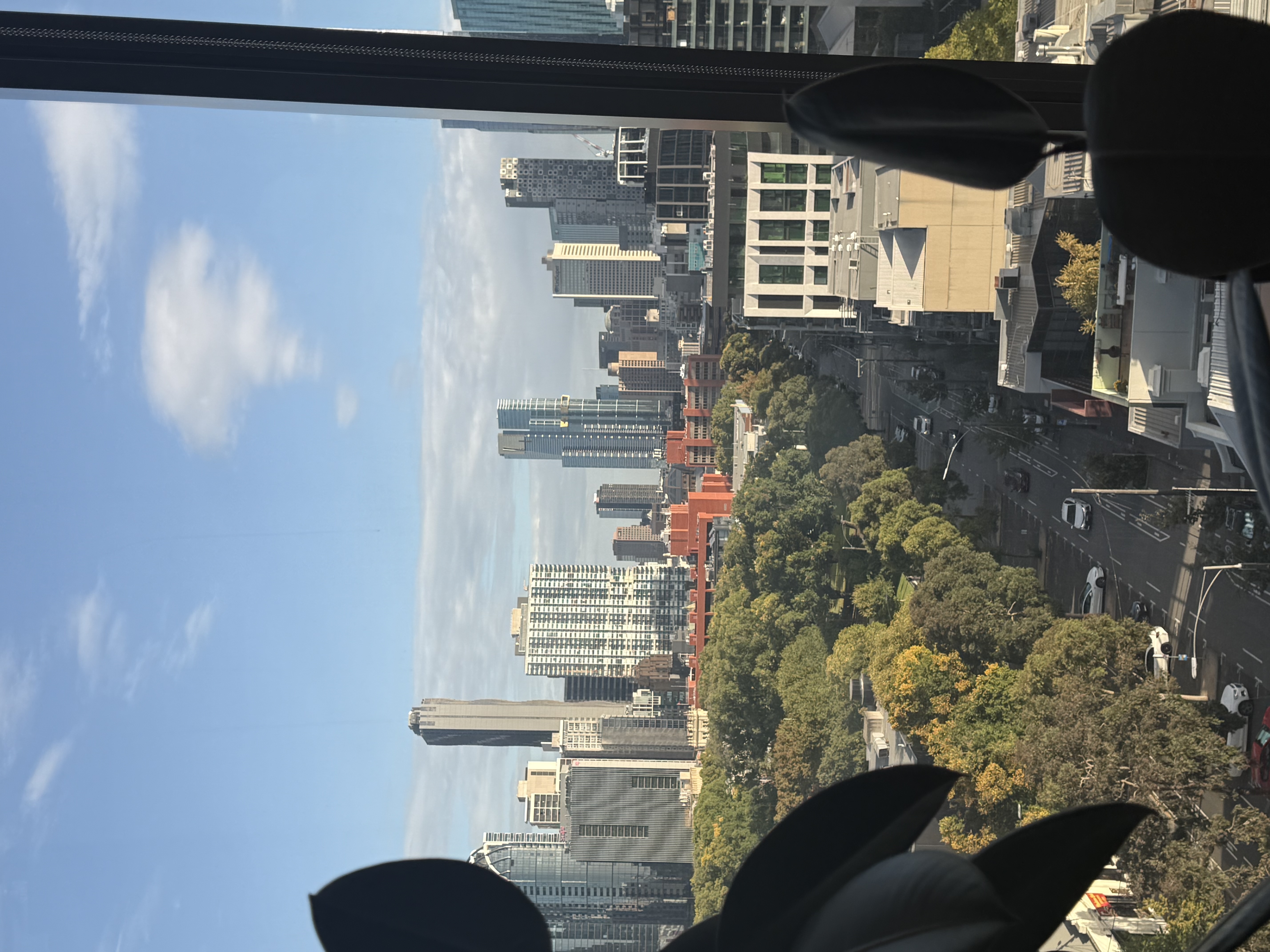 IMG_3776.jpeg