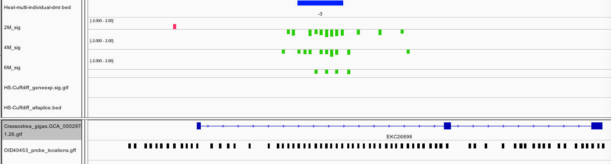 scaffold1518_212680