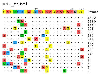 guideseq_flowchart