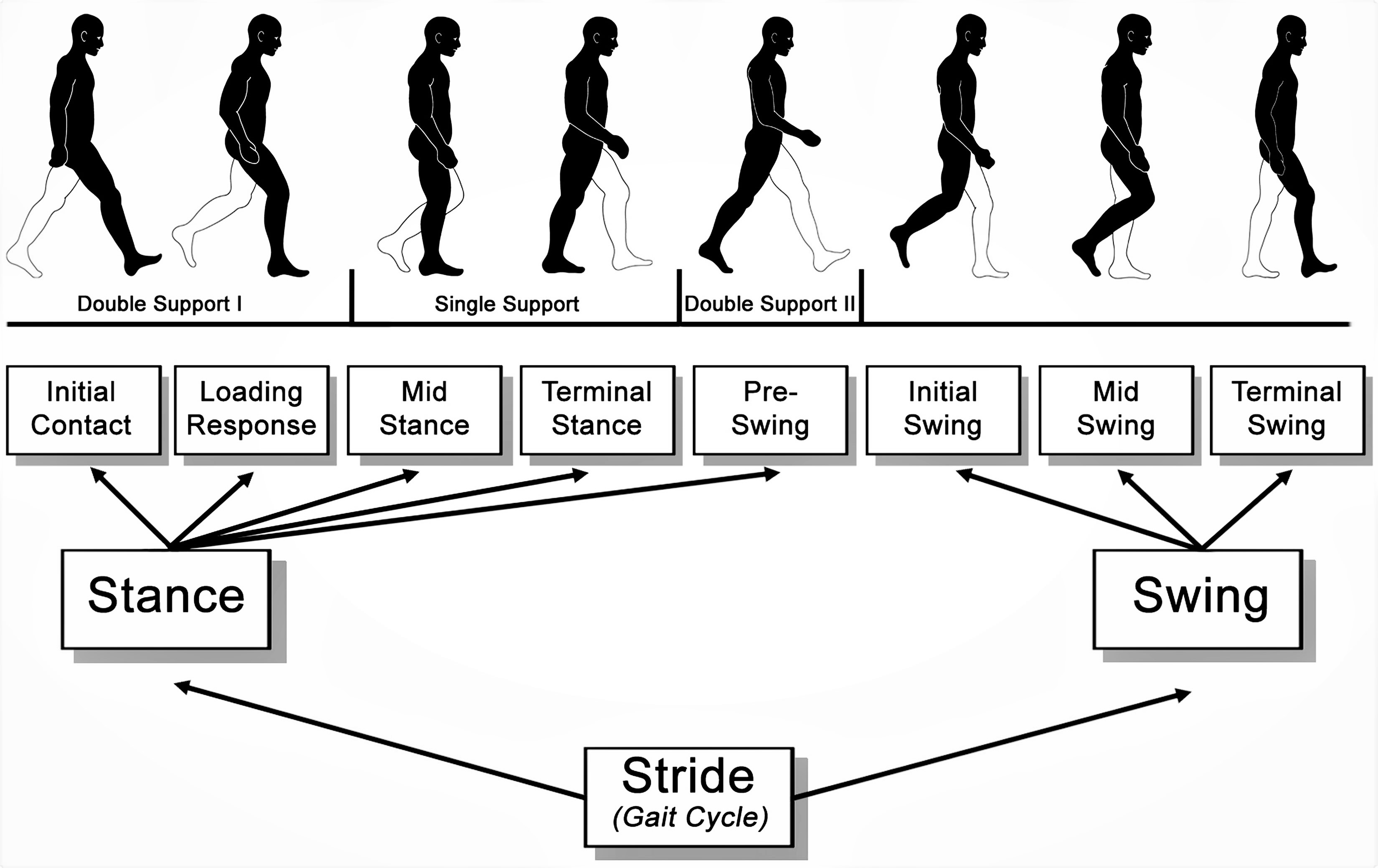 Sensor-Development-for-Gait-Analysis-