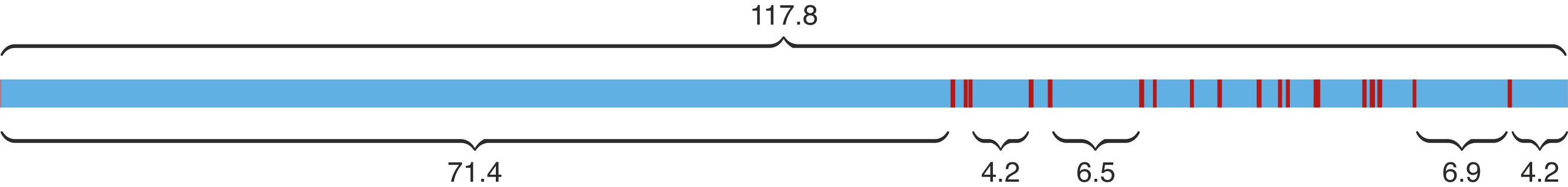 Real read trim split