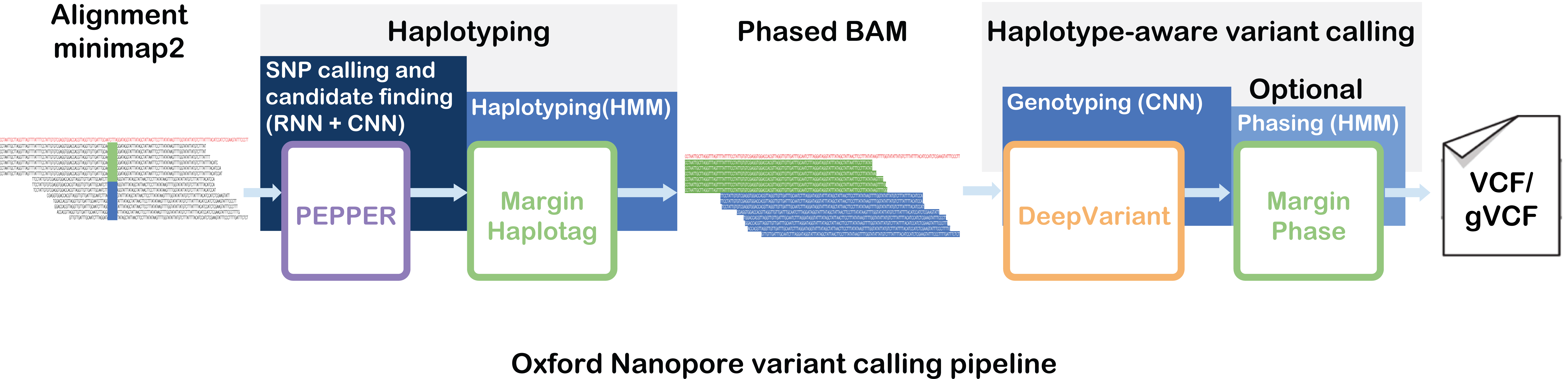 PEPPER-Margin-DeepVariant Variant Calling Workflow