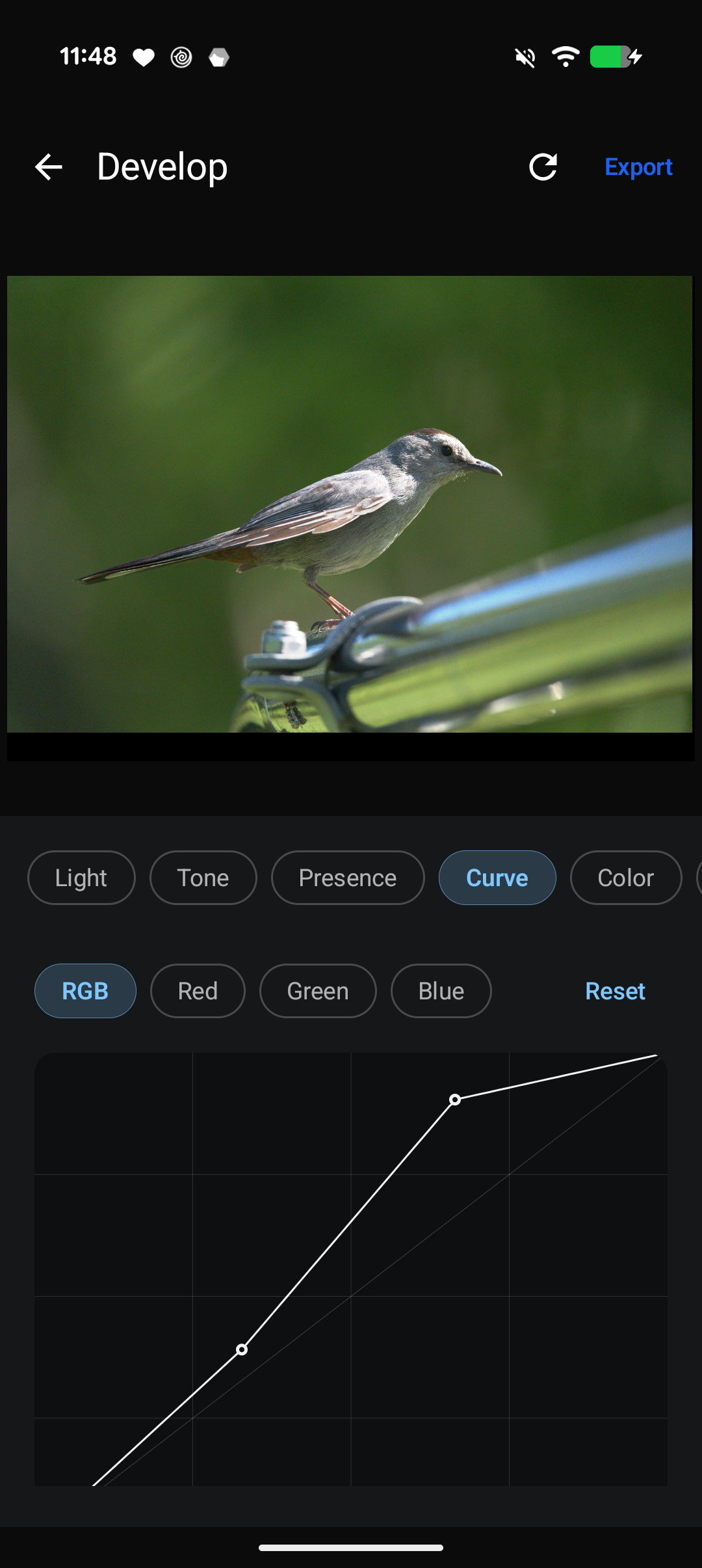 Native RAW develop: tone curve on a photo