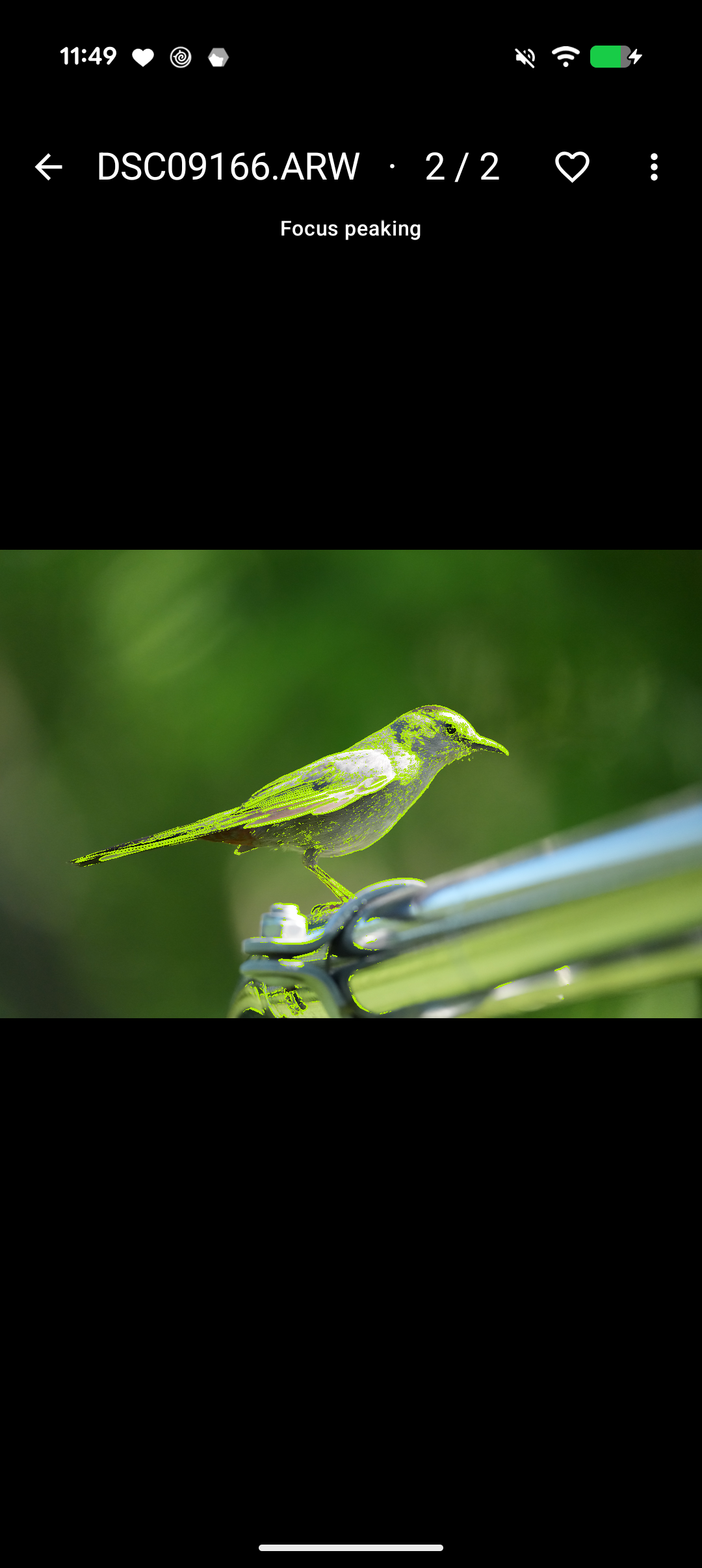 Focus peaking on a RAW photo