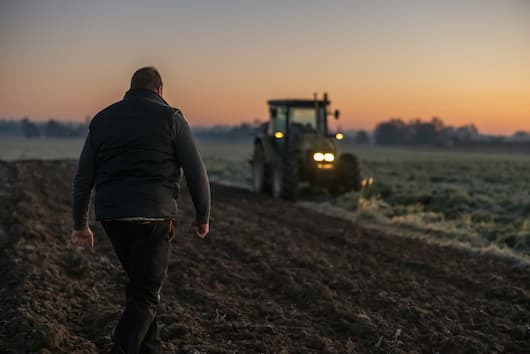 Farmer in a field