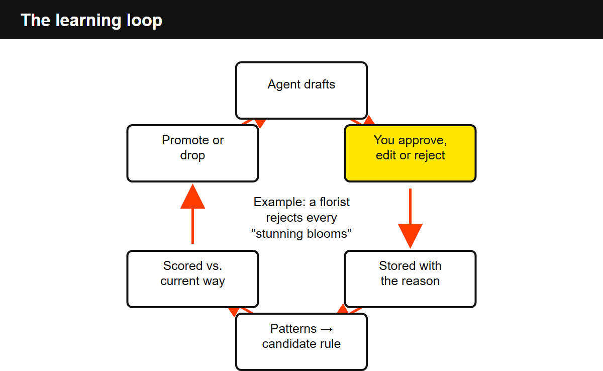 Learning loop