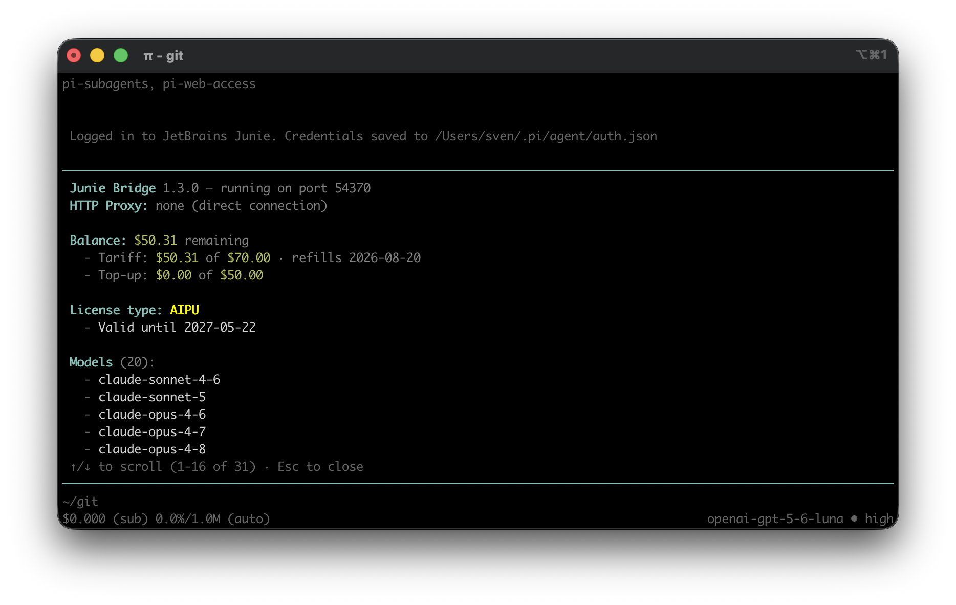 Screnshot showcasing the junie command