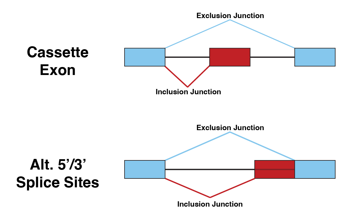 junction_query