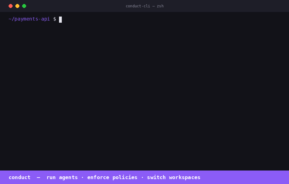 Conduct Cli screenshot