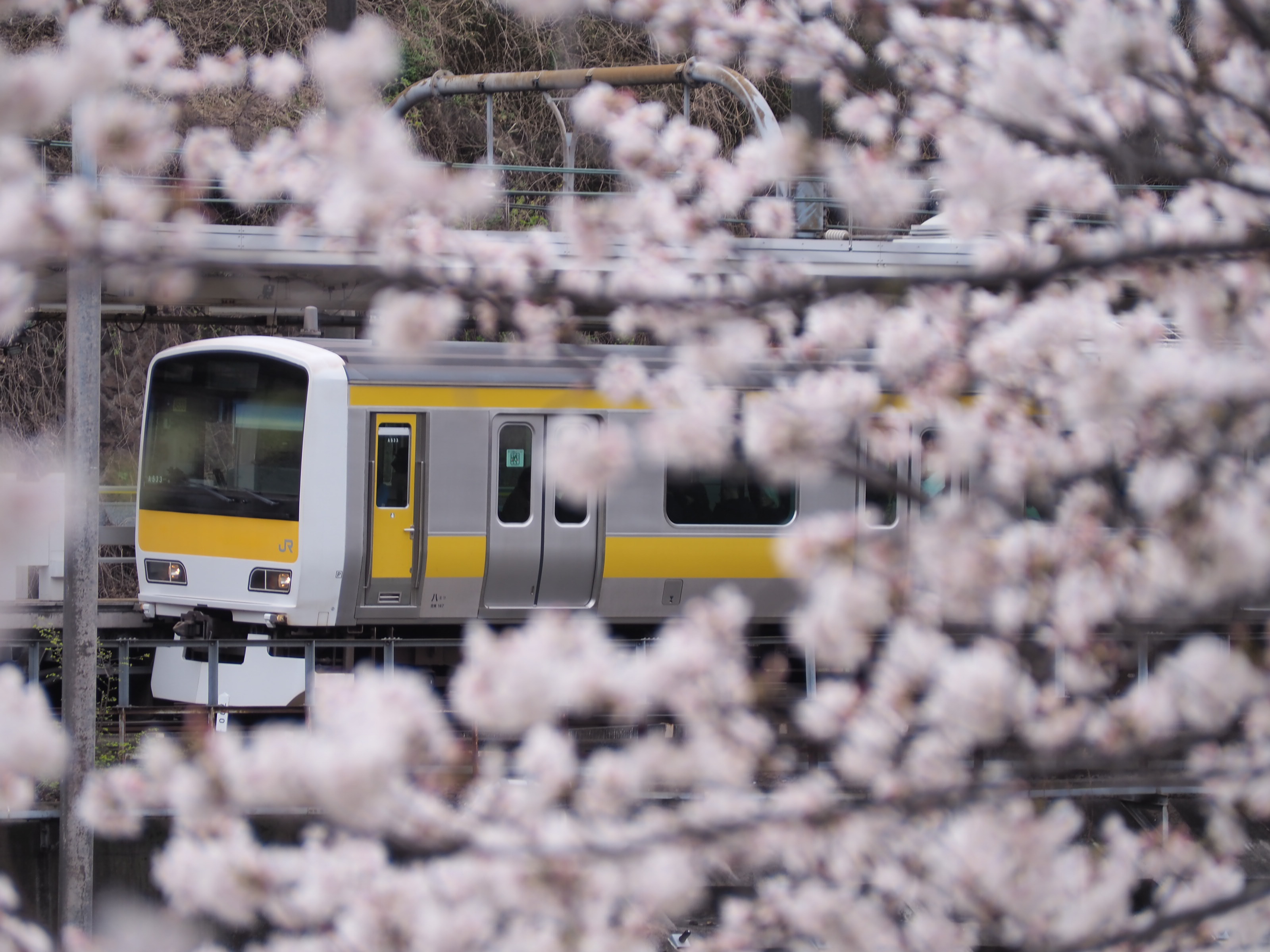 中央総武線各駅停車