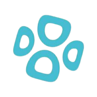 dittofeed