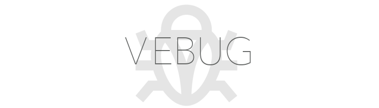 vebug banner