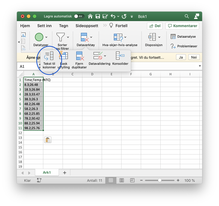 Excel skjermbilde
