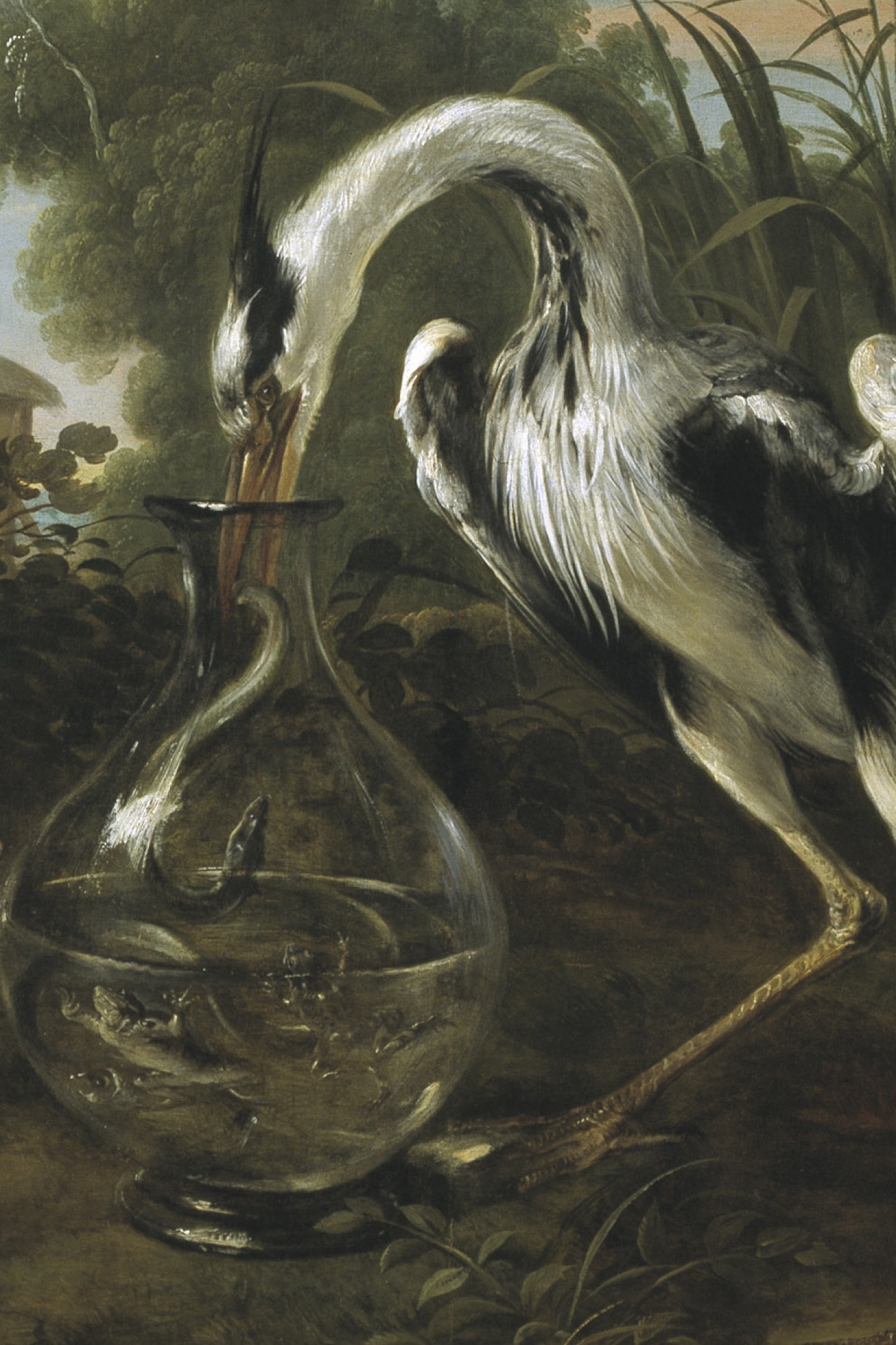 Cover for Fables