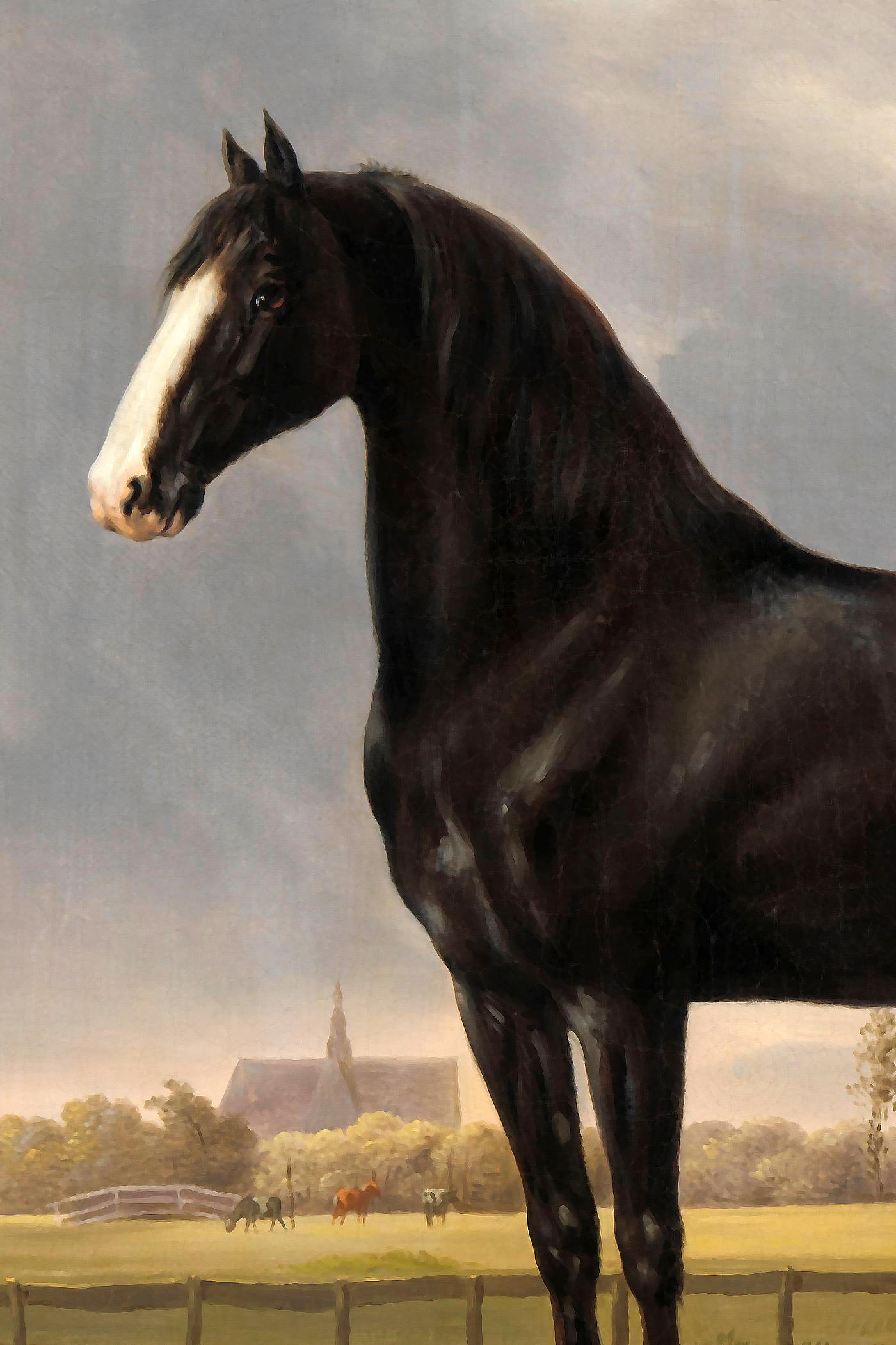 Cover for Black Beauty