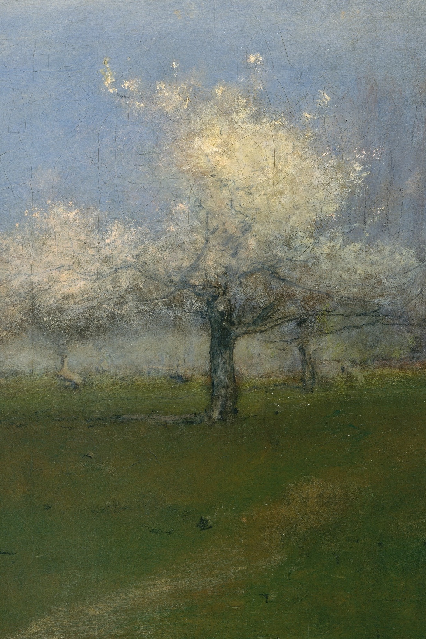 Cover for The Cherry Orchard