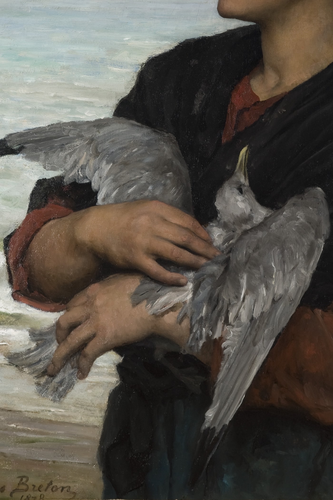 Cover for The Seagull