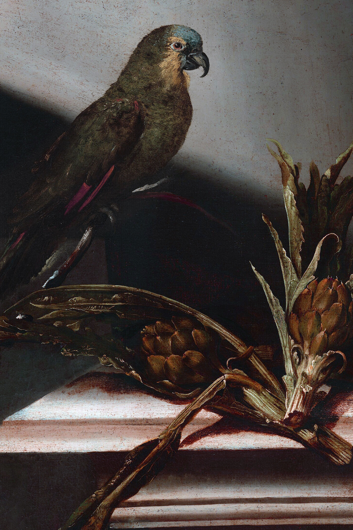 Cover for The Chinese Parrot