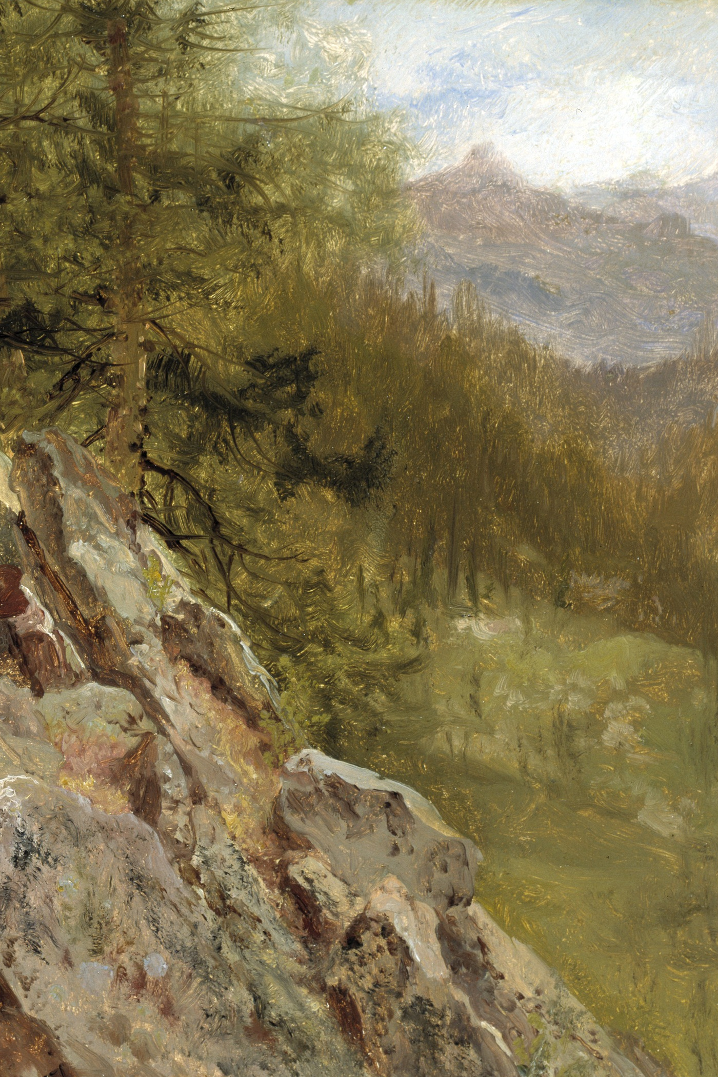 Cover for Shepherds of the Wild